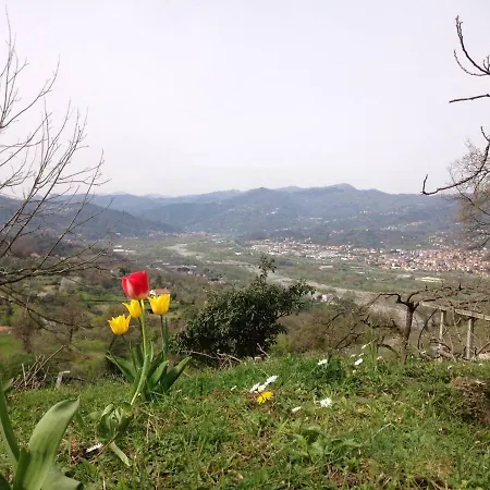Fivestay - 1600 Stone Country With Pool * Vezzano Ligure