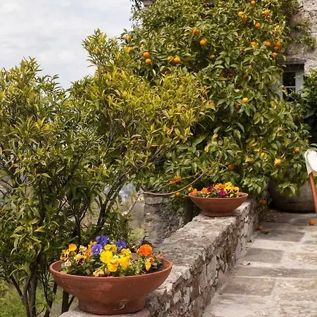 Fivestay - 1600 Stone Country With Pool Vezzano Ligure
